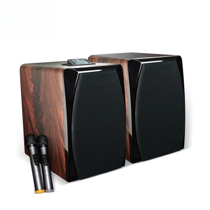 Enceinte de karaoké active hau - Audio Music Dj avis et prix